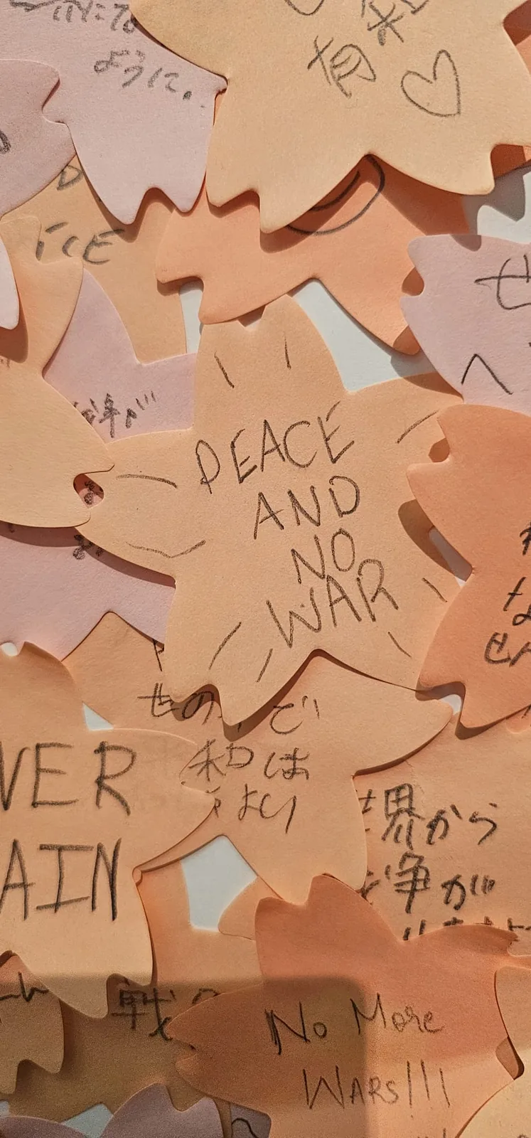 Vœux de paix écrits à la main sur des papiers en forme de fleurs, dont l'un porte la mention « PEACE AND NO WAR »