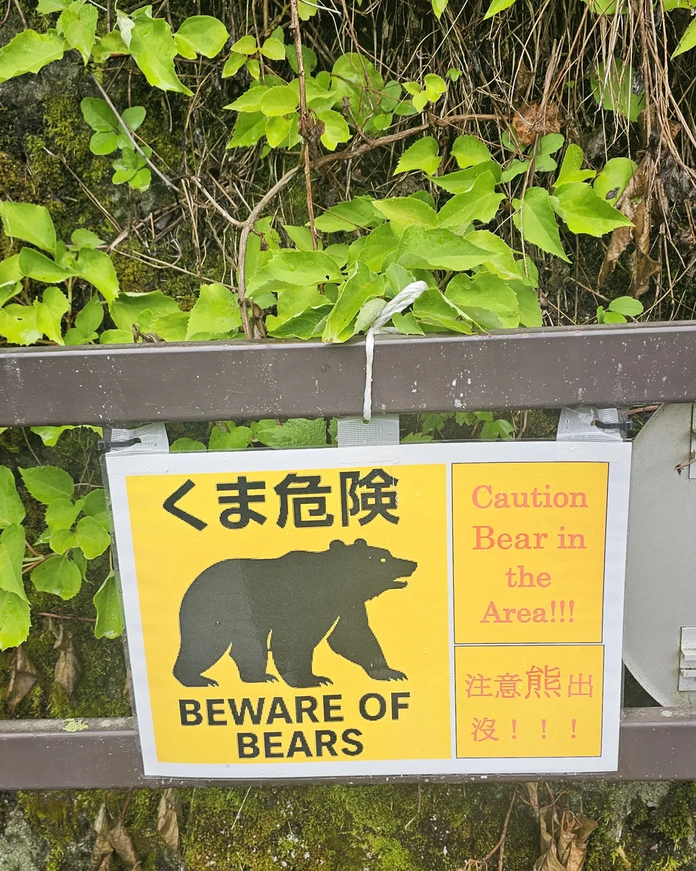 Panneau jaune « くま危険 / Caution Bear in the Area!!! » accroché à une rambarde au milieu de la végétation