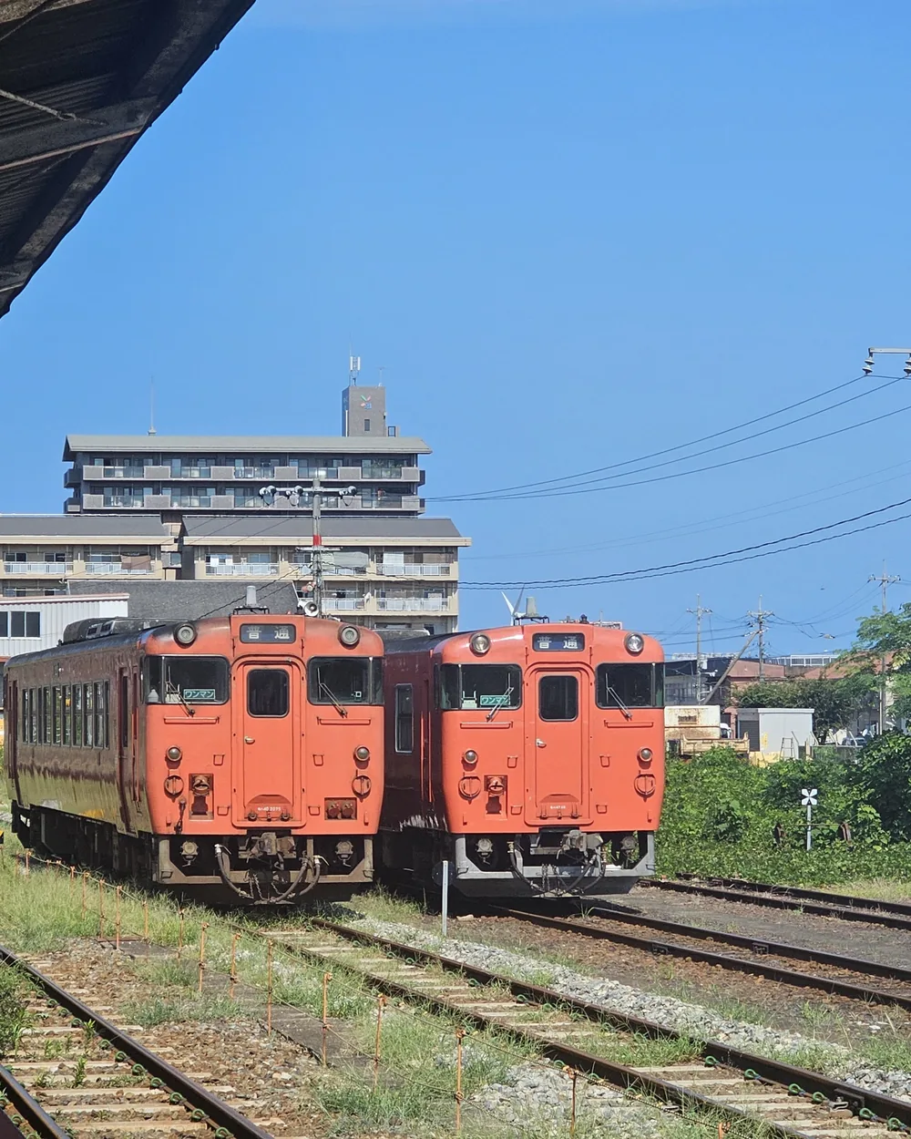 Deux autorails orange de JR Kyushu à quai sous une verrière, par temps clair