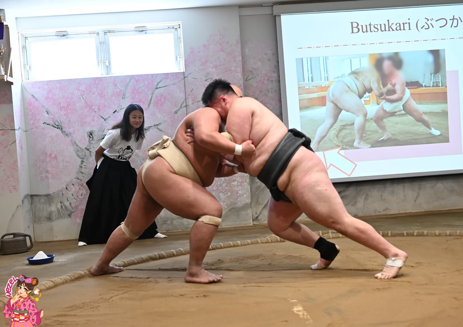 Exercice de butsukari : un participant pousse de toutes ses forces un rikishi qui lui r&eacute;siste, une entra&icirc;neuse observe